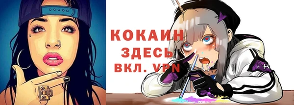 дмт Богданович