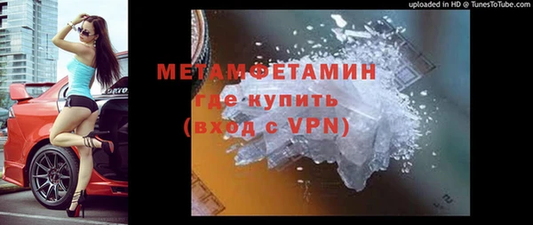 дмт Богданович