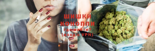 дмт Богданович