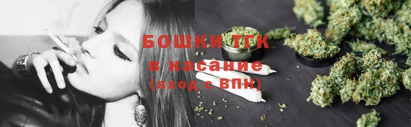 дмт Богданович