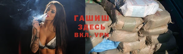 дмт Богданович