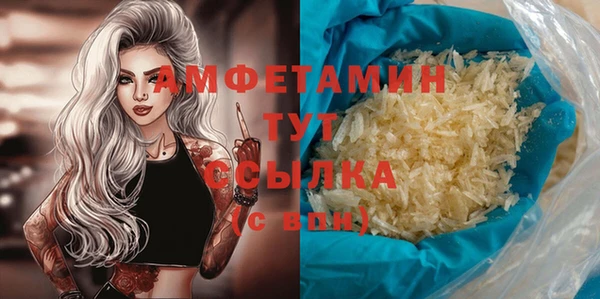 дмт Богданович