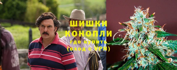дмт Богданович