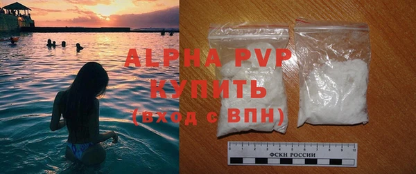 молекула духа Бородино