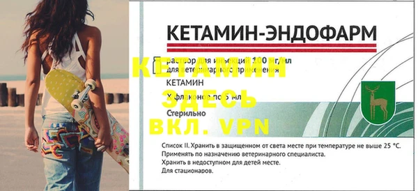 дмт Богданович